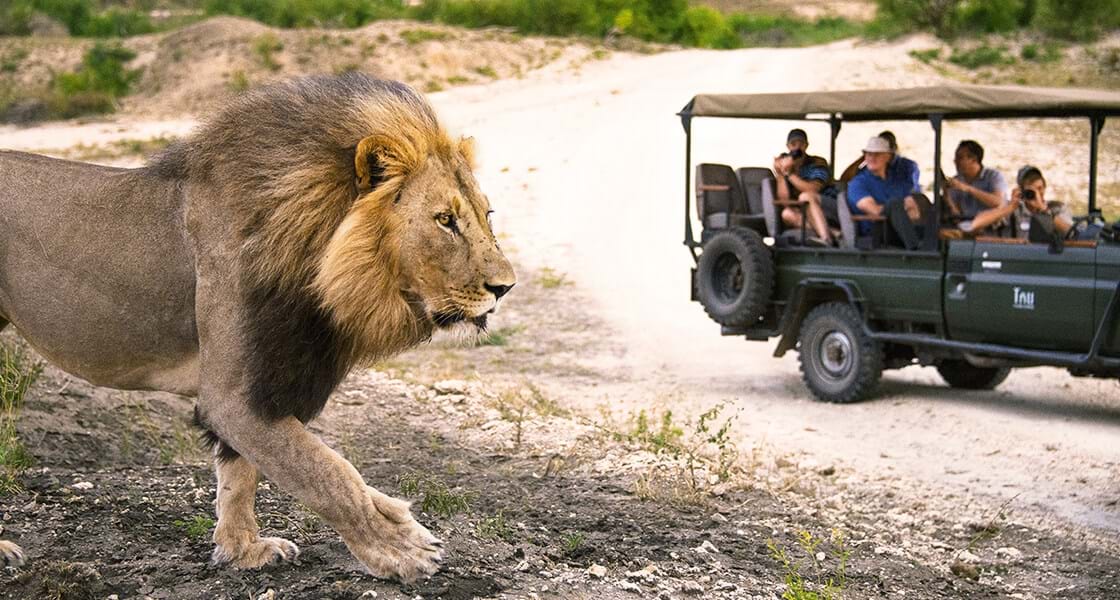 Kruger National Parkクルーガー国立公園