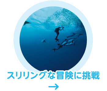 スリリングな冒険に挑戦