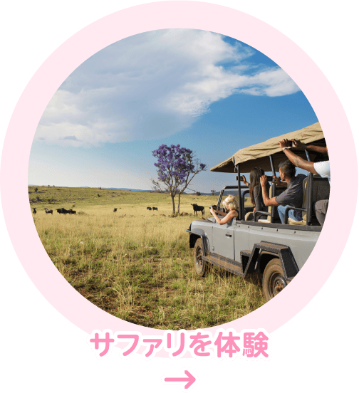 サファリを体験