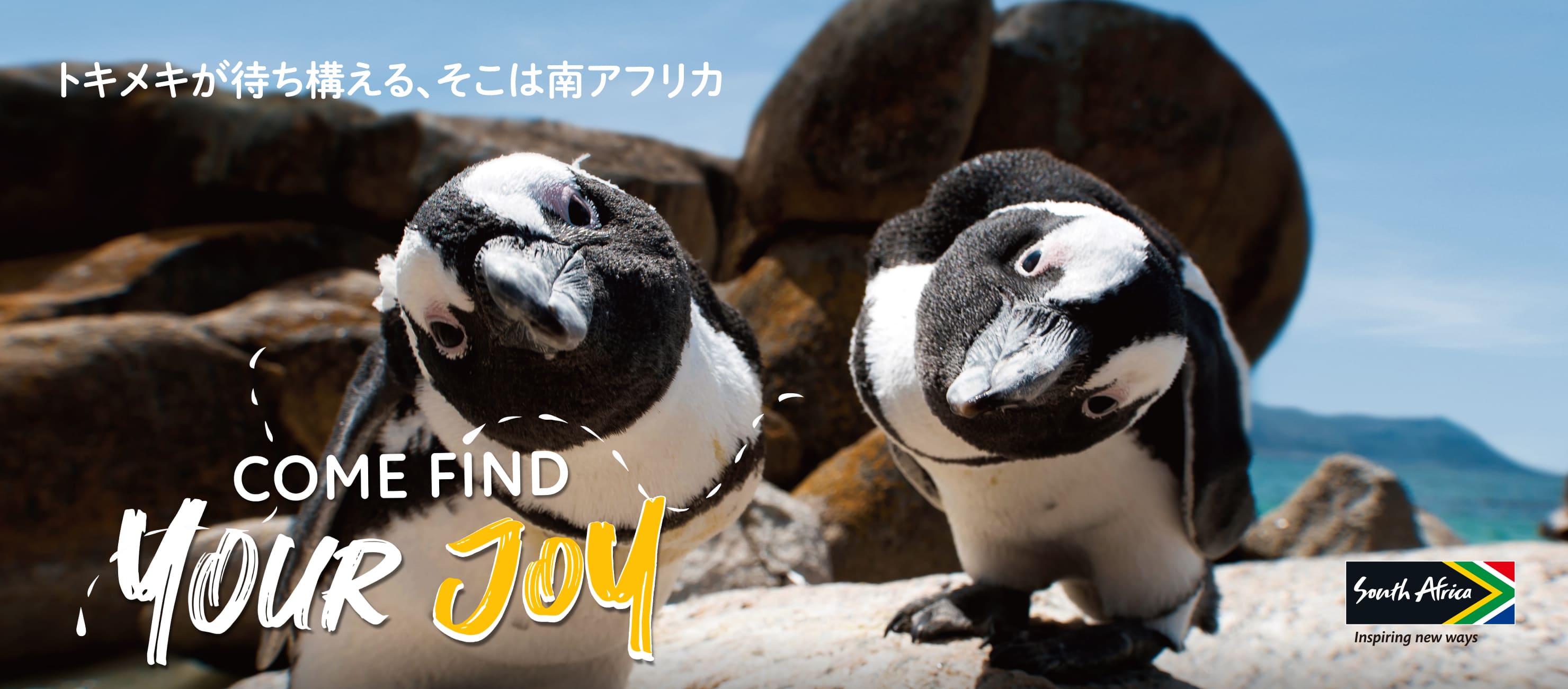 トキメキが待ち構える、そこは南アフリカCome Find Your Joy