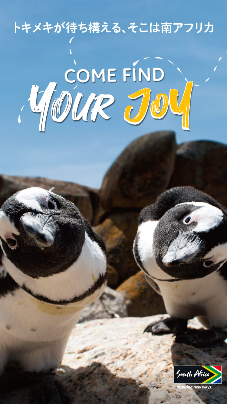 トキメキが待ち構える、そこは南アフリカCome Find Your Joy
