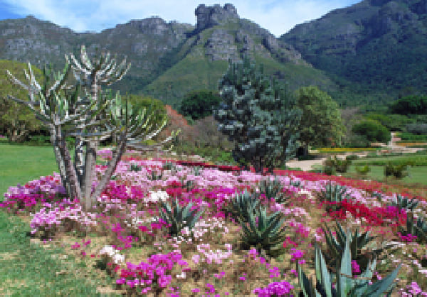 カーステンボッシュ植物公園